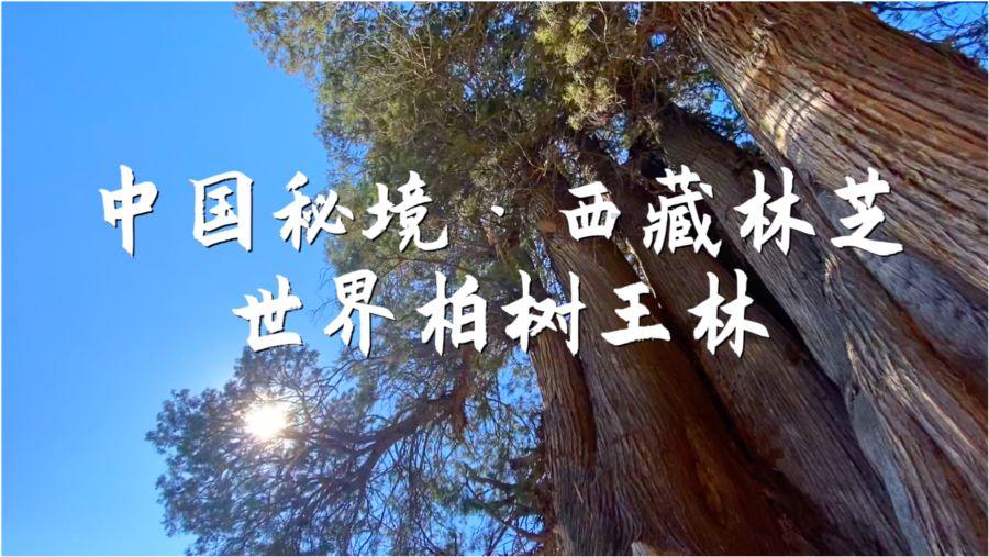空袭敌营