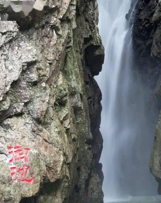 了解这是什么车的仪表?知识星球平台-专业的学习社区